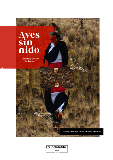 Aves sin nido (1889) de Clorinda Matto de Turner (.epub)