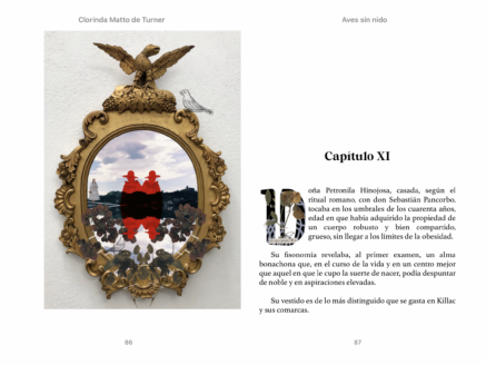 Aves sin nido (1889) de Clorinda Matto de Turner (.epub) - Imagen 3